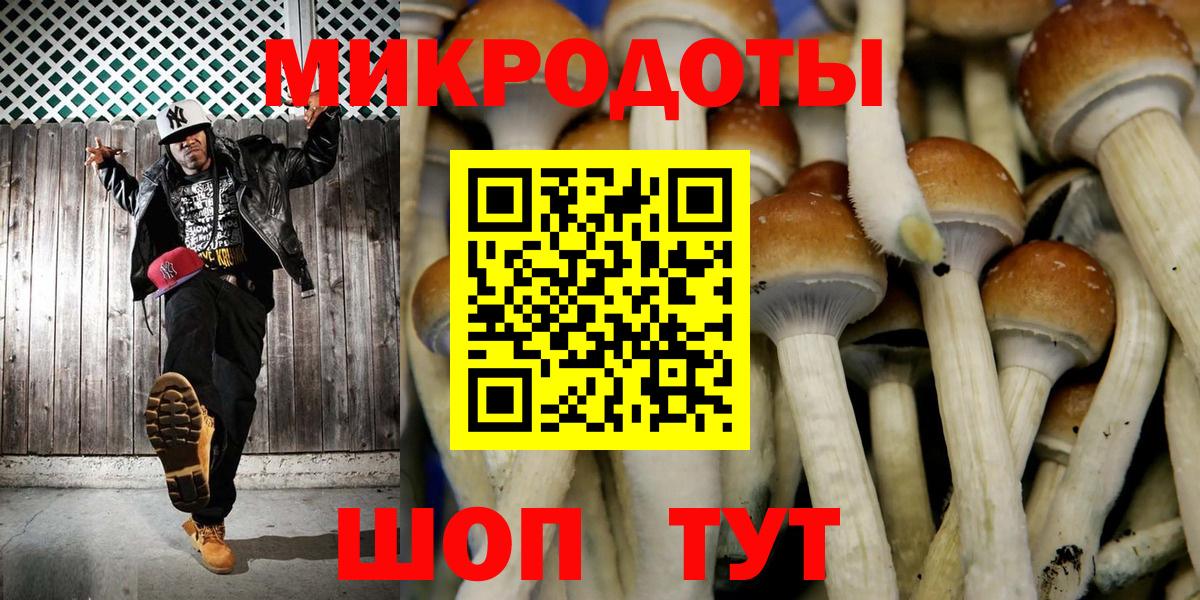 Псилоцибиновые грибы ЛСД  Псилоцибиновые грибы мицелий  Кизляр  Вход с VPN 