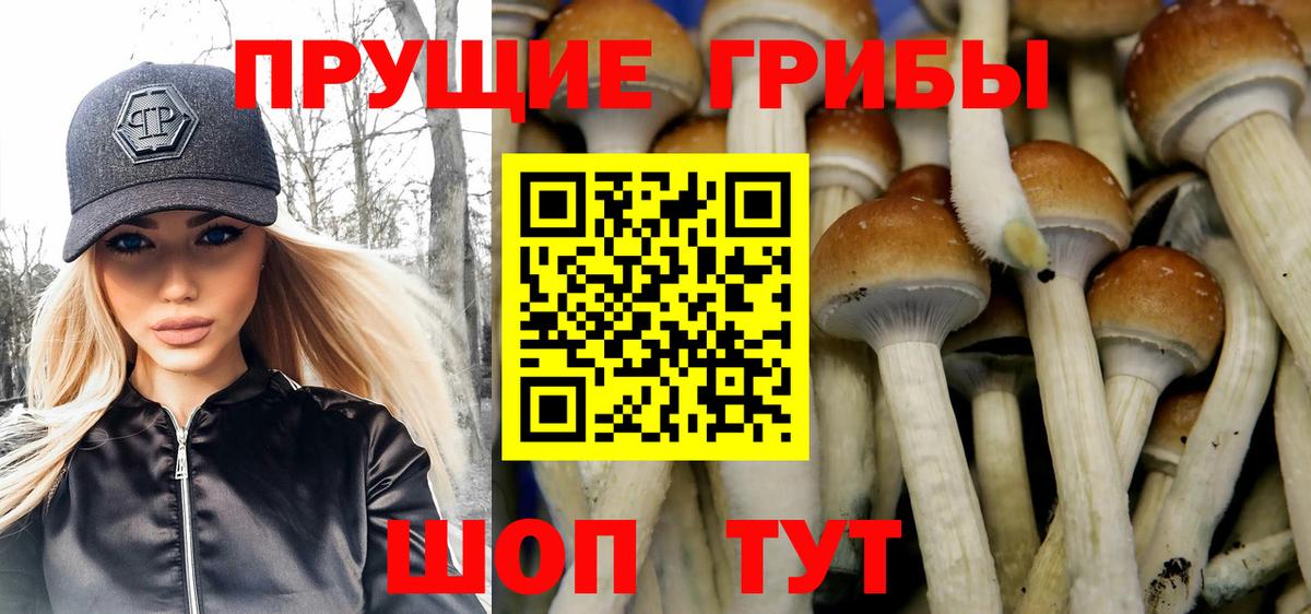 Псилоцибиновые грибы MAGIC MUSHROOMS Кизляр